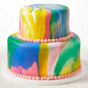 Plastic Icing Cakes